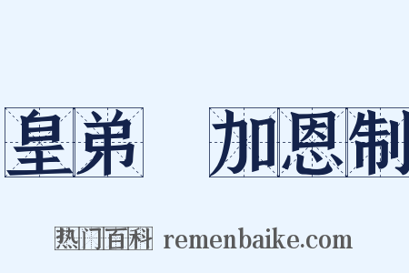 皇弟偲加恩制是什么意思的图片